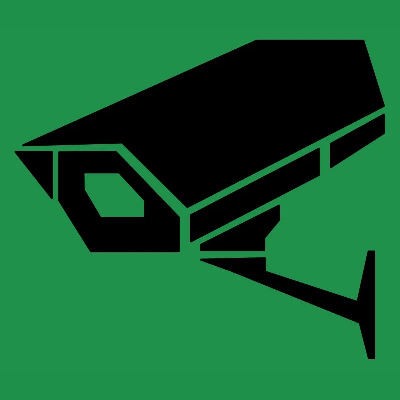 surveillance camera