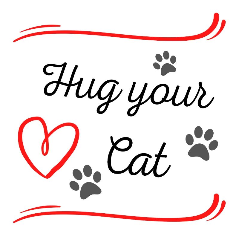 Hug your cat