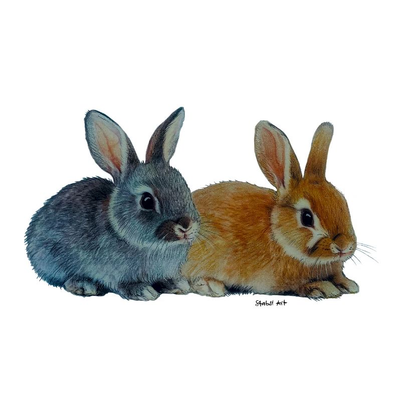 Bunnies - Easter