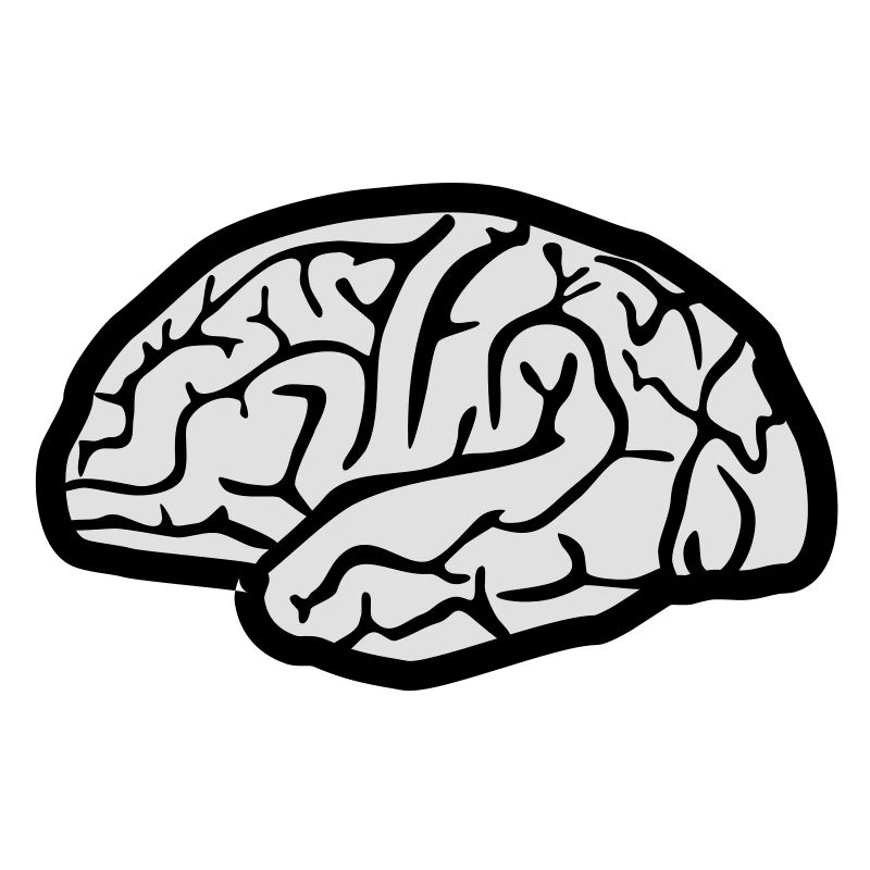 Brain, Brains