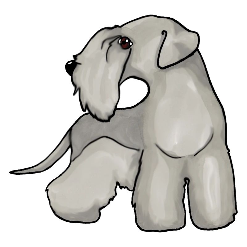 Cesky Terrier