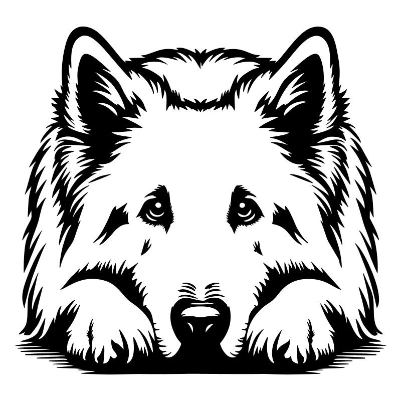 Schweizer Schäferhund