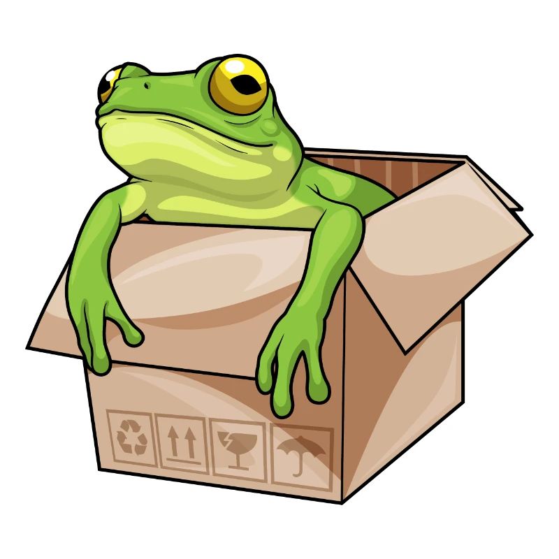 Frosch Karton
