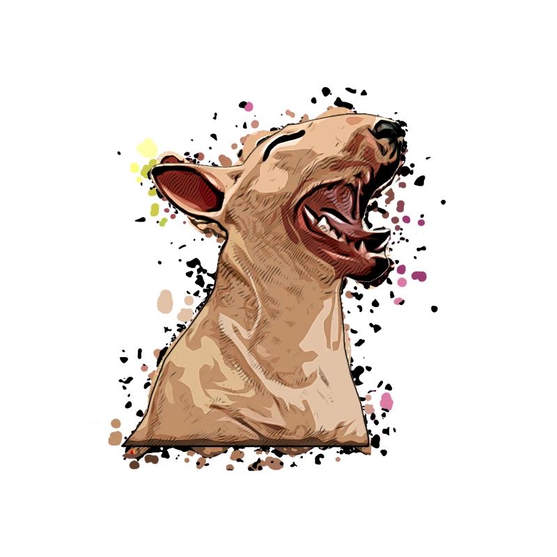 Miniatur Bullterrier Comic 5