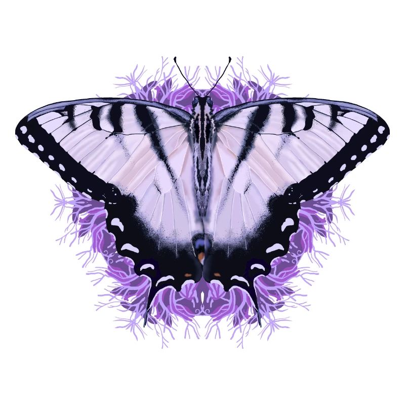 Papillon blanc à fleur pourpre