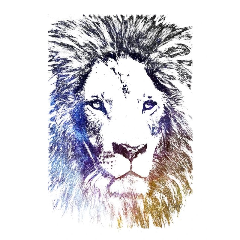 Lion Galaxy