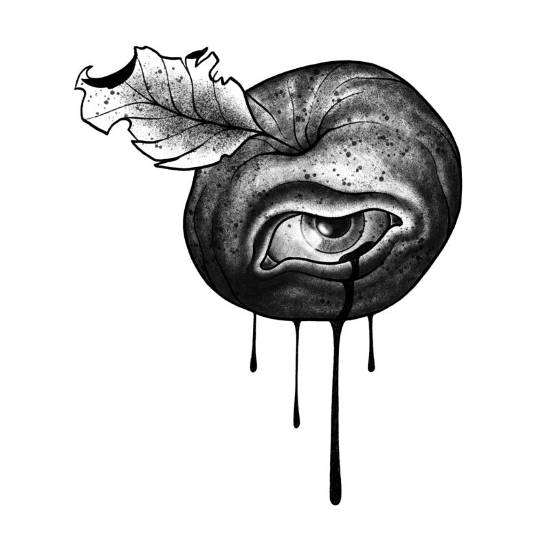 Augapfel