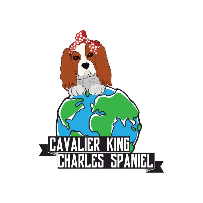 Cavalier King