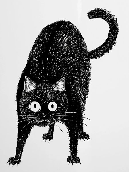 Schwarze Katze