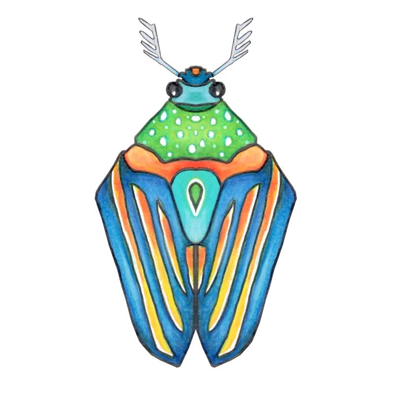 blueBeetle