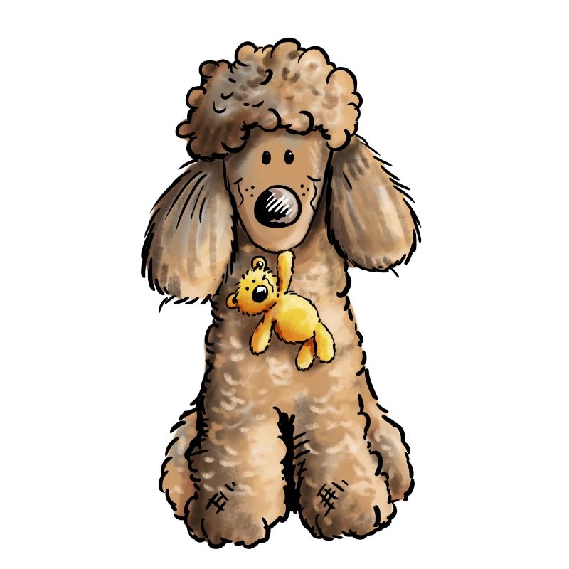 Pudel mit Teddy