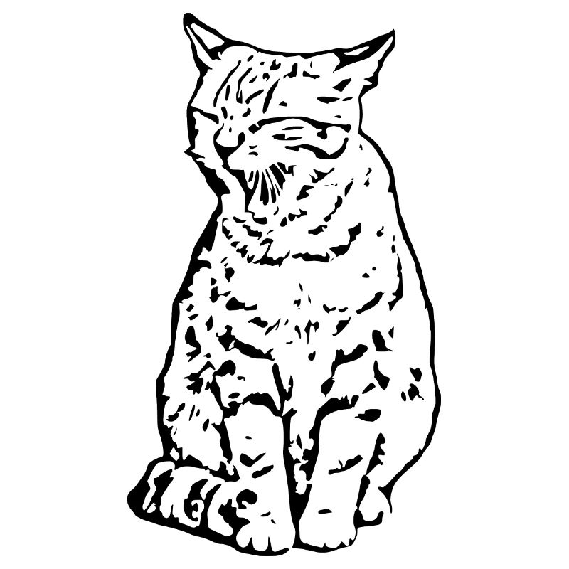 chat noir chat chaton doux cadeau de Noël