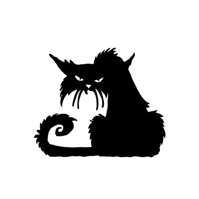 Genervte Katze