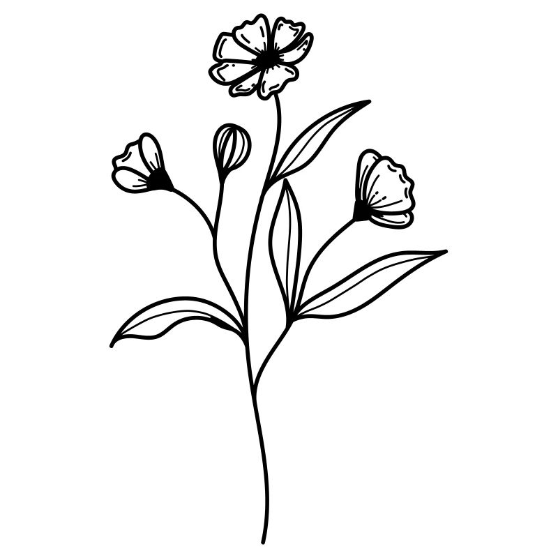 fleur sauvage simple