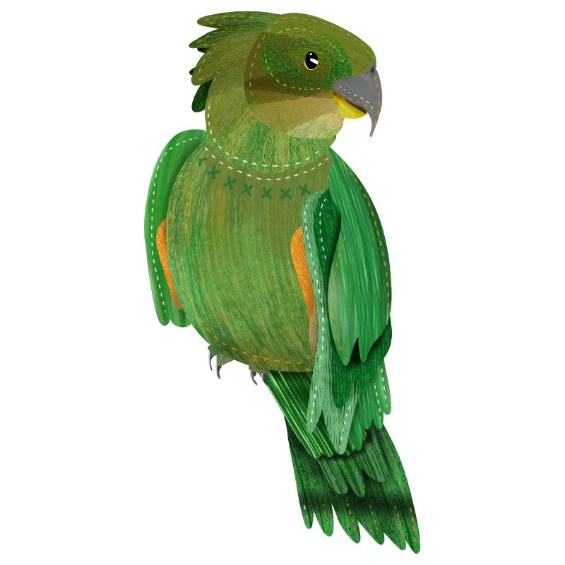 Kea peint NZ oiseau