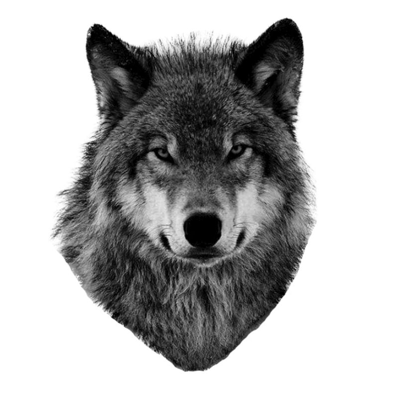 Wütender Wolf