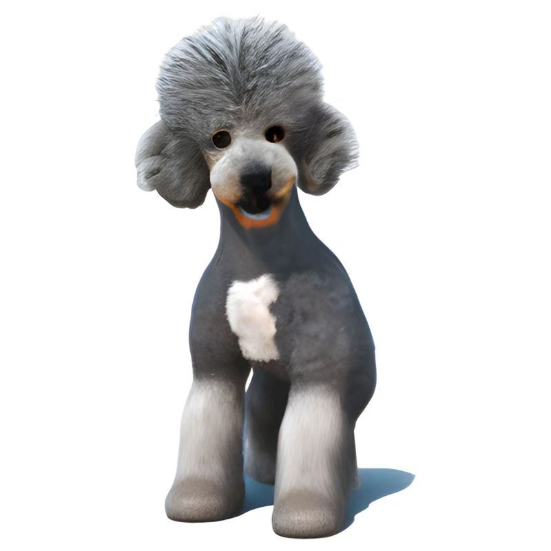 Bedlington Terrier