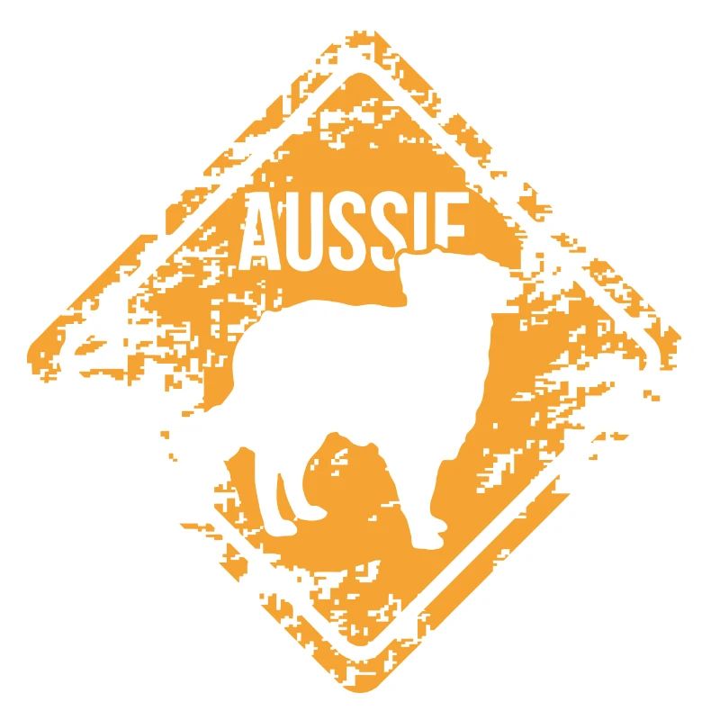 AUSSIE - AUSTRALIAN SHEPHERD Les chiens de Wilsign chien