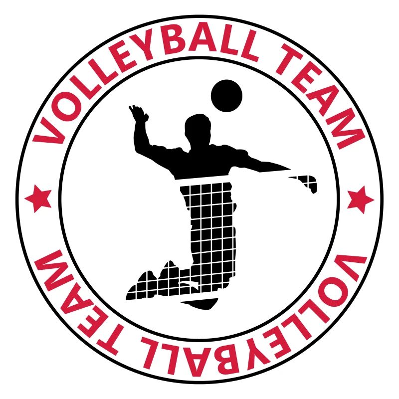 l'équipe de volley-ball