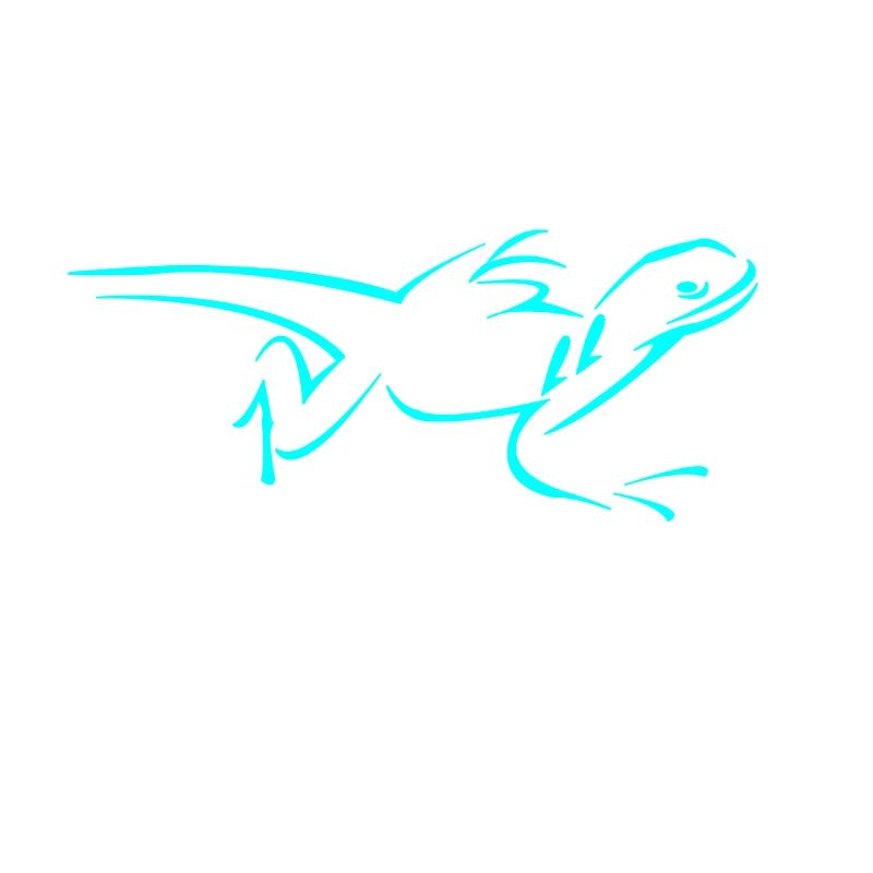 lizard