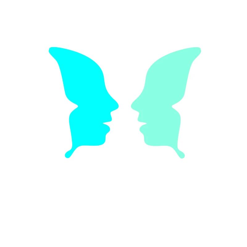 Optical Ilusion