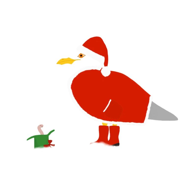 Weihnachtsmöwe
