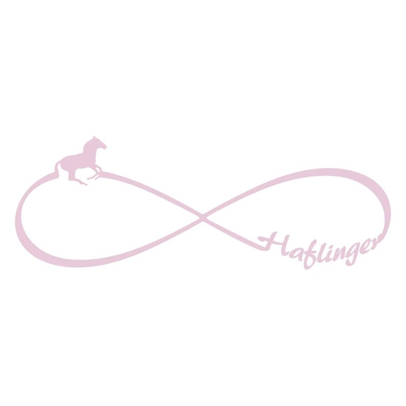 Haflinger Pferde freunde Pferderasse Infinity acht