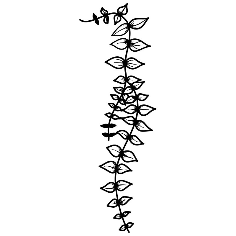 Hanging plant 2