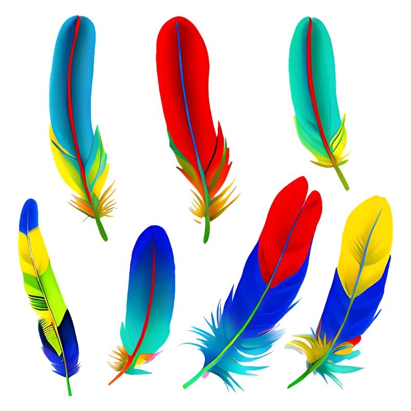 Parrot feathers