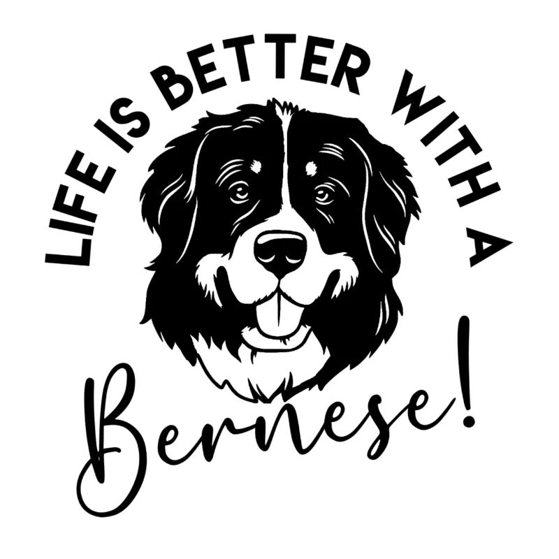 Bouvier bernois