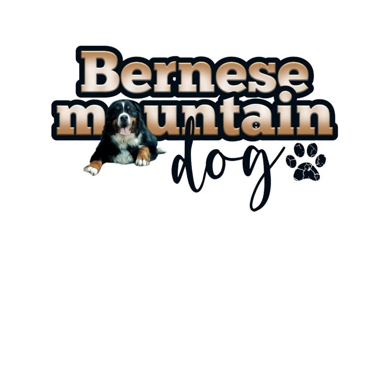 Bouvier bernois