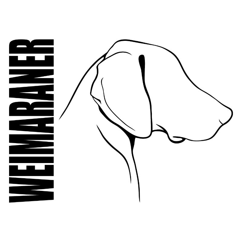 WEIMARANER Profil Chiens Chiens Chiens de chasse Wilsigns