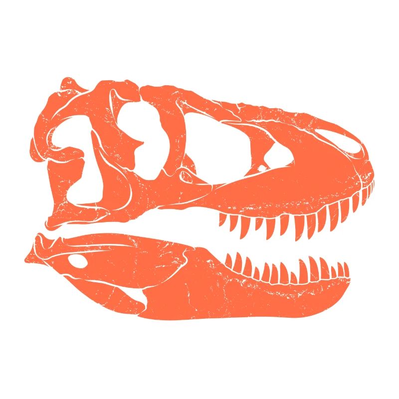 Tarbosaurus Fossil Schädel