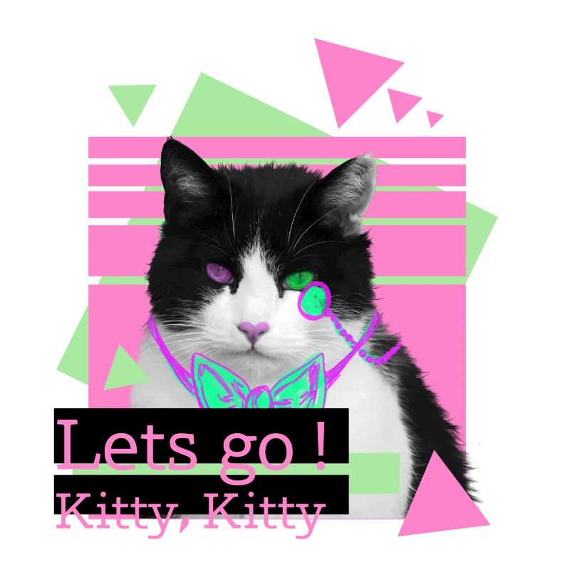 Lets go kitty, kitty