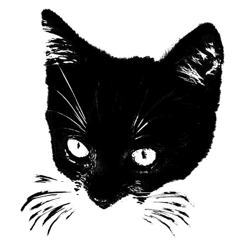 Schwarze Katze