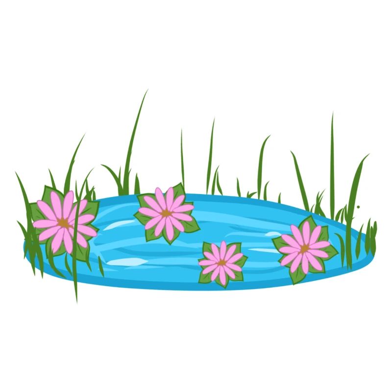 Étang Puddle Nature Fleurs Eau