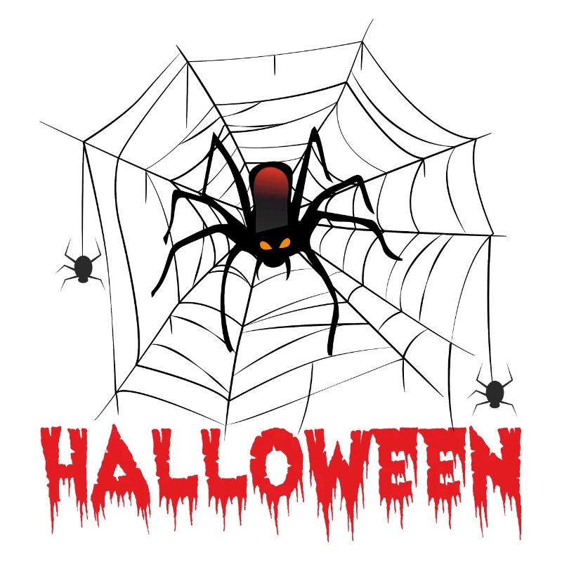 Halloween Spider Spider Web