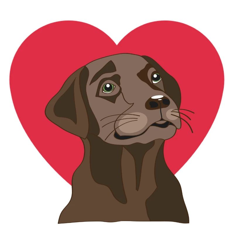 Labrador
