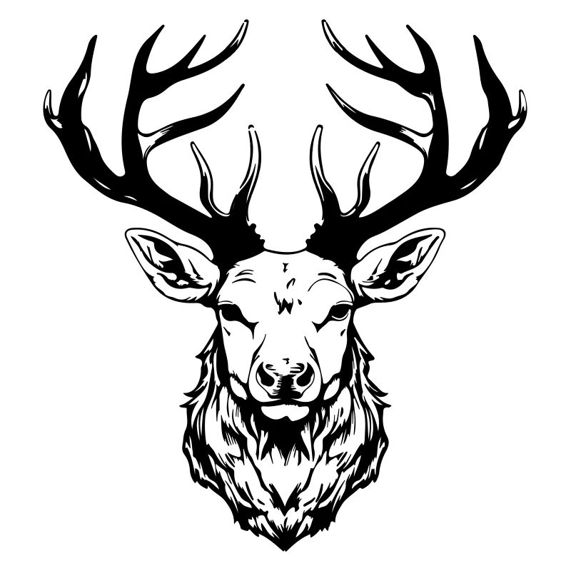 Tête de cerf