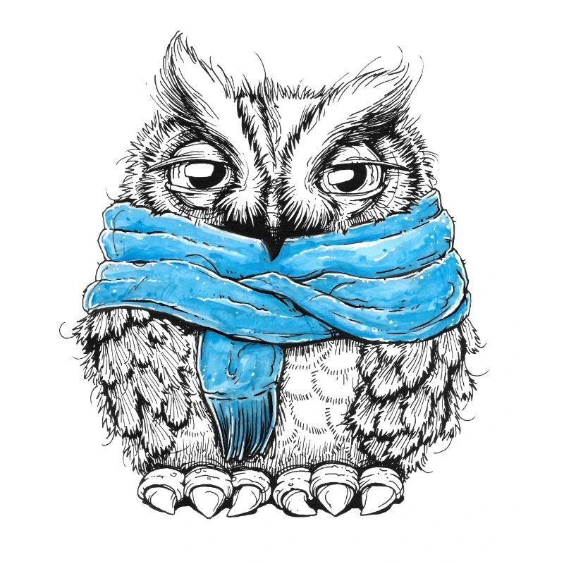 Hibou avec écharpe