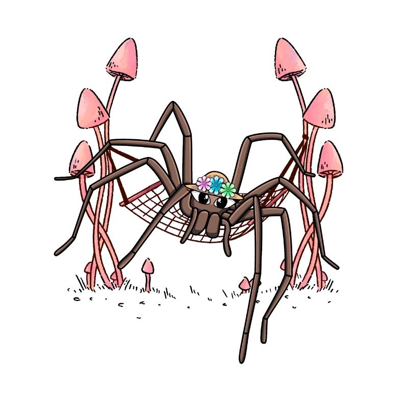 Spider Hanging Hammock Spider Web