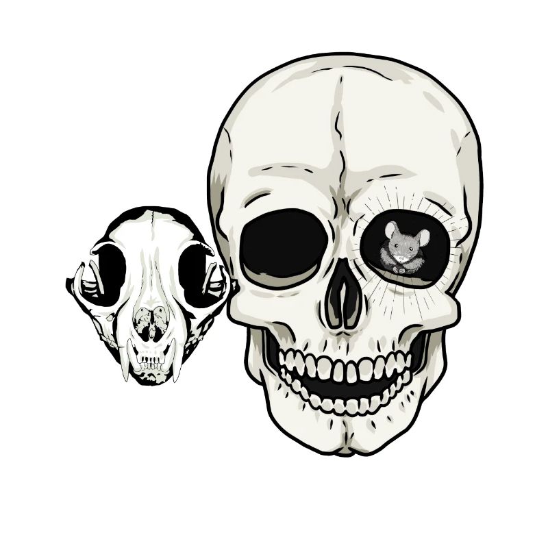 Skulls Cat Human Skull Pets