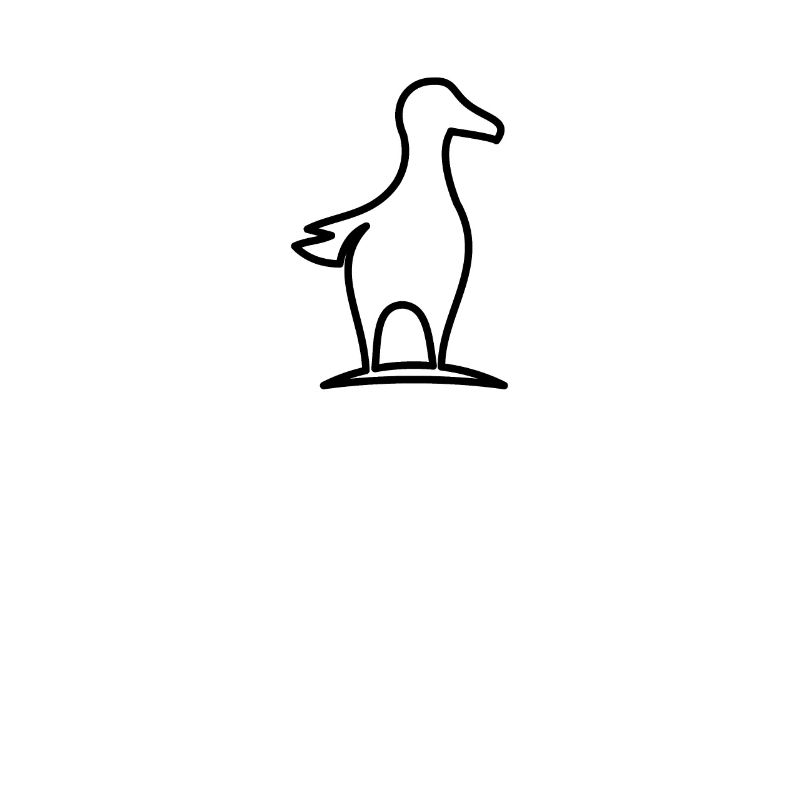 Maritim Meer Möwe