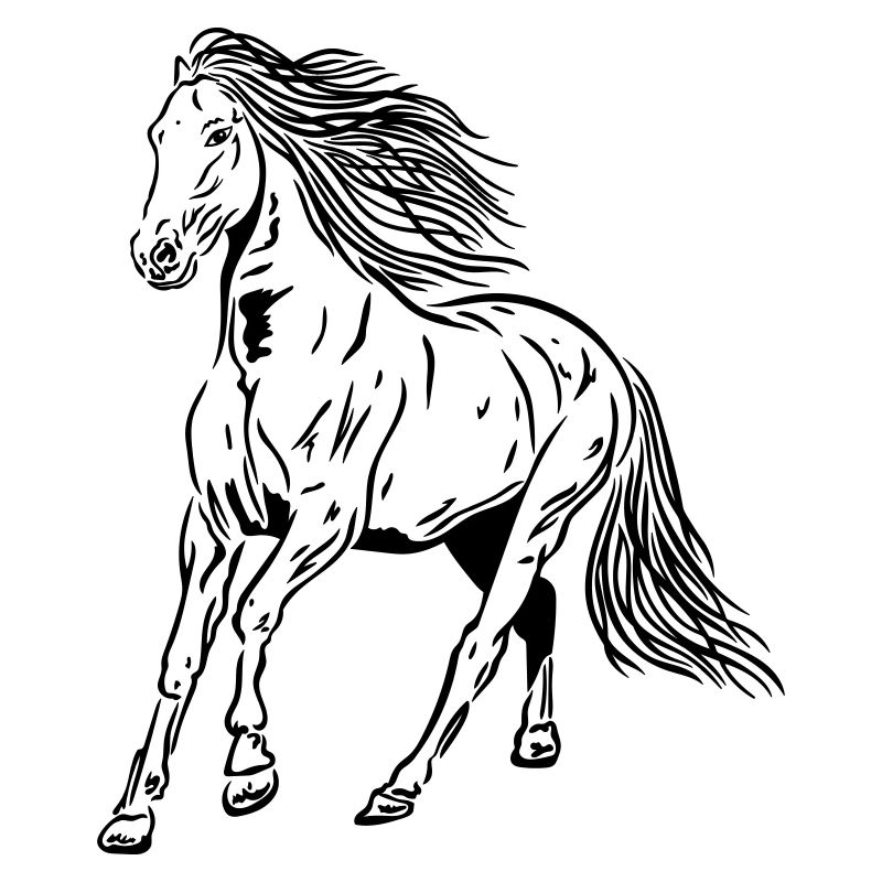 Étalon Cheval