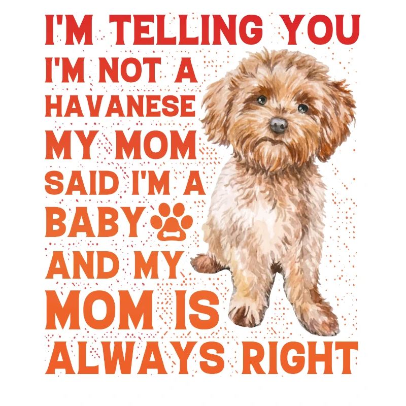 Havanese Funny Saying