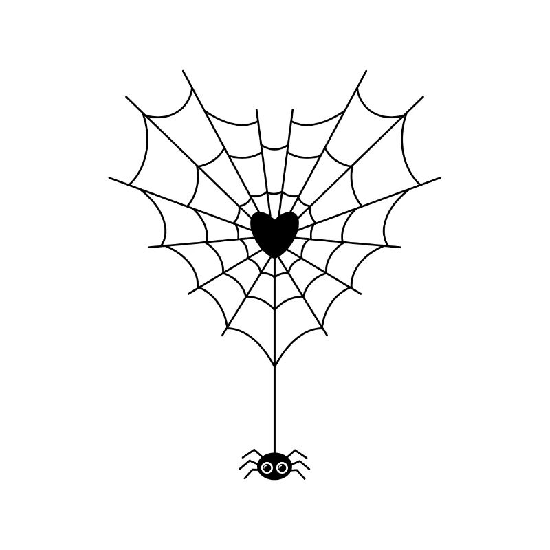 Spider in spider web