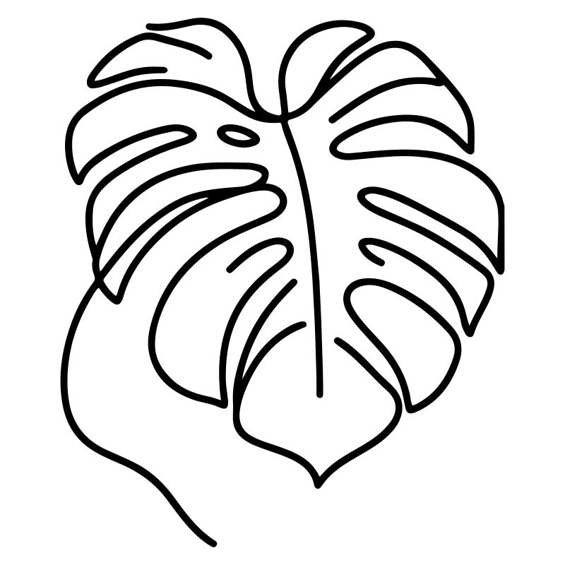 Monstera