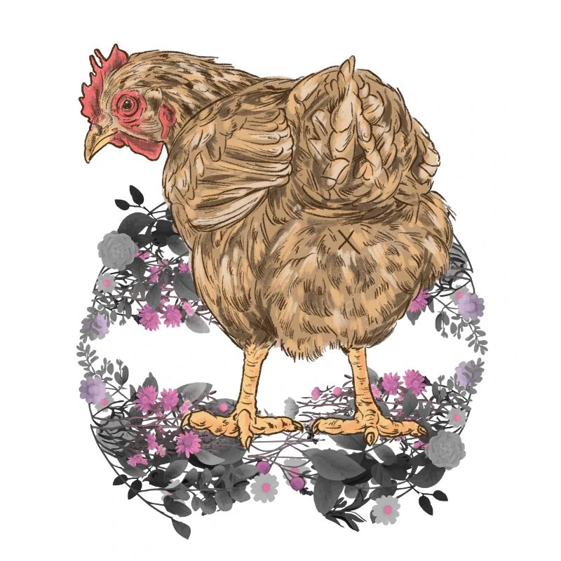 Spring, Easter, Chicken, Poultry, Nature, Poultry