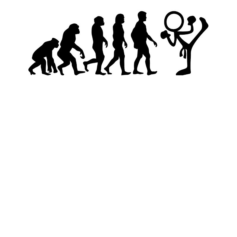 Funny Taekwondo Evolution stick figure