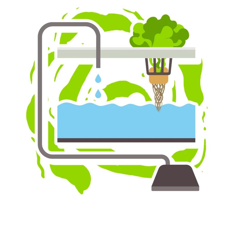 Hydroponics